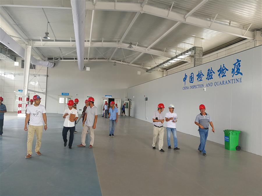 AG Club | The Originator of Live Casino