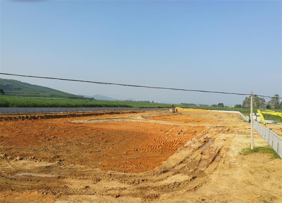 AG Club | The Originator of Live Casino