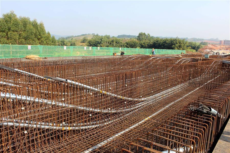 AG Club | The Originator of Live Casino