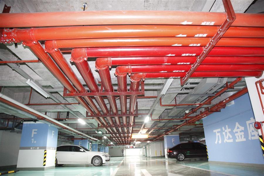 AG Club | The Originator of Live Casino