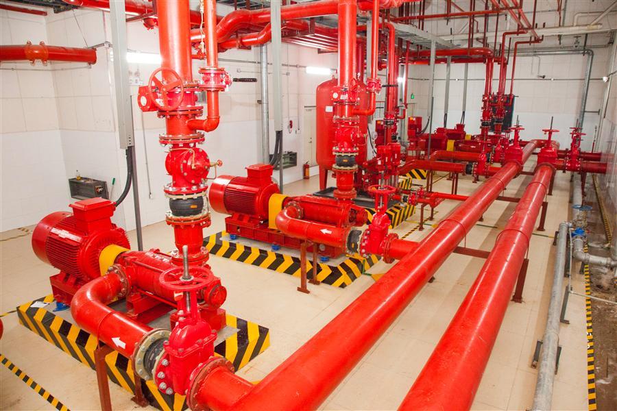 AG Club | The Originator of Live Casino