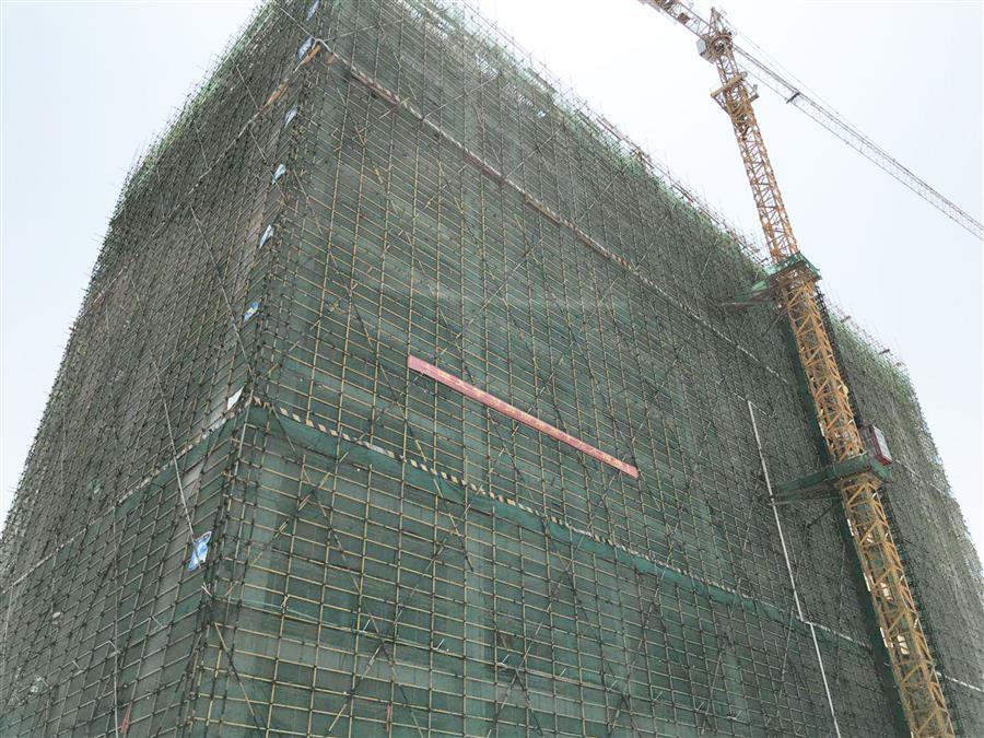 AG Club | The Originator of Live Casino