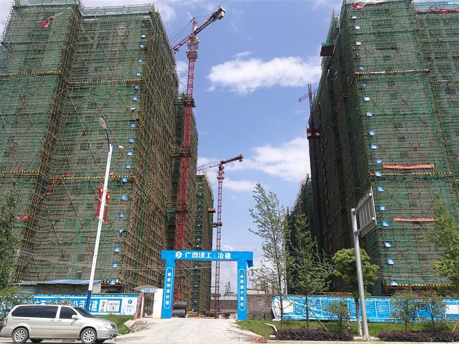 AG Club | The Originator of Live Casino