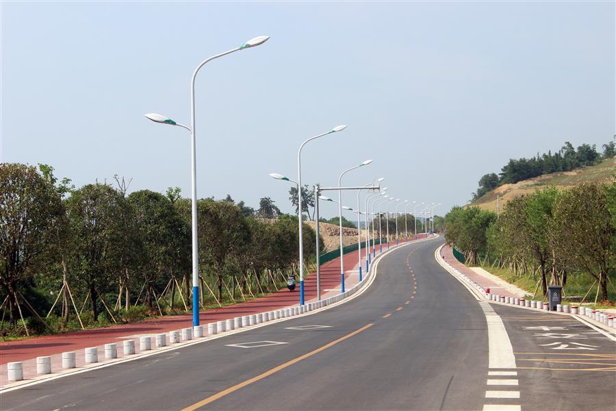 AG Club | The Originator of Live Casino