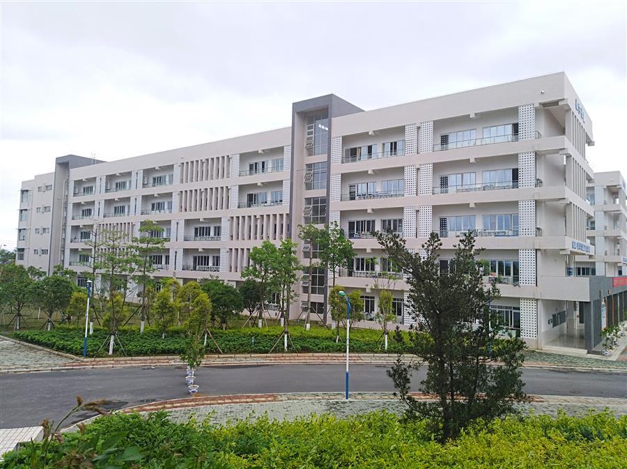 AG Club | The Originator of Live Casino