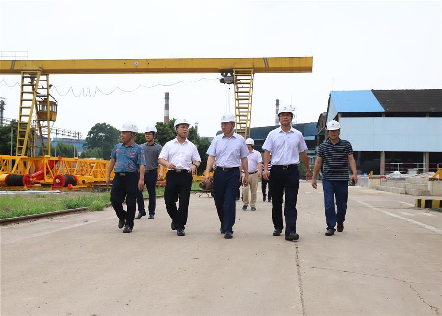 AG Club | The Originator of Live Casino