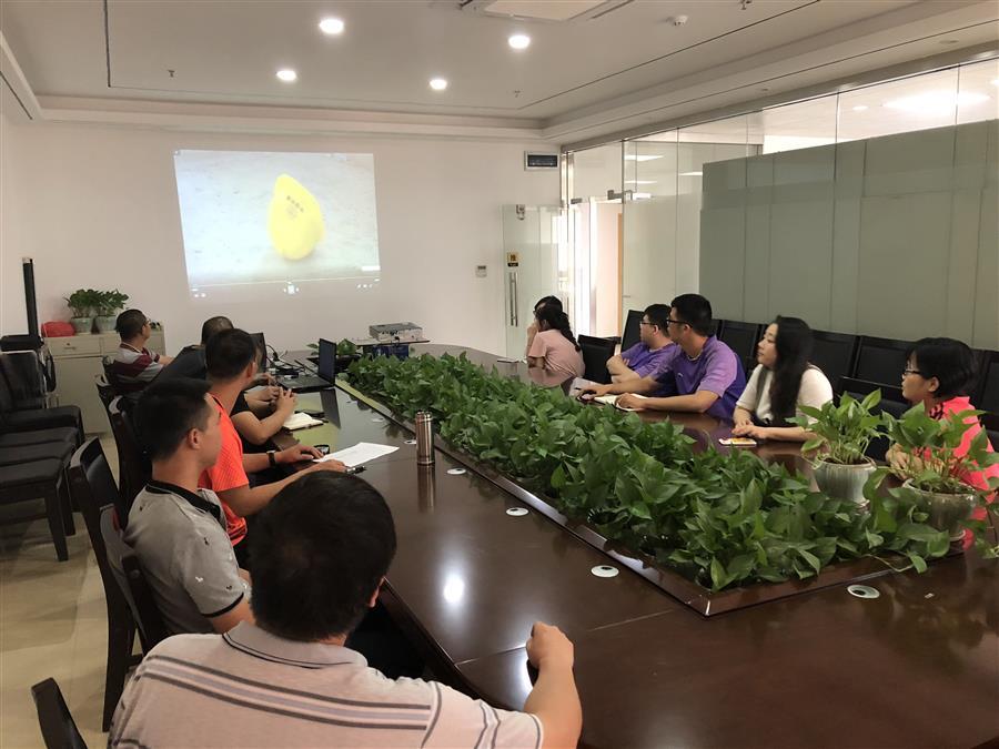 AG Club | The Originator of Live Casino