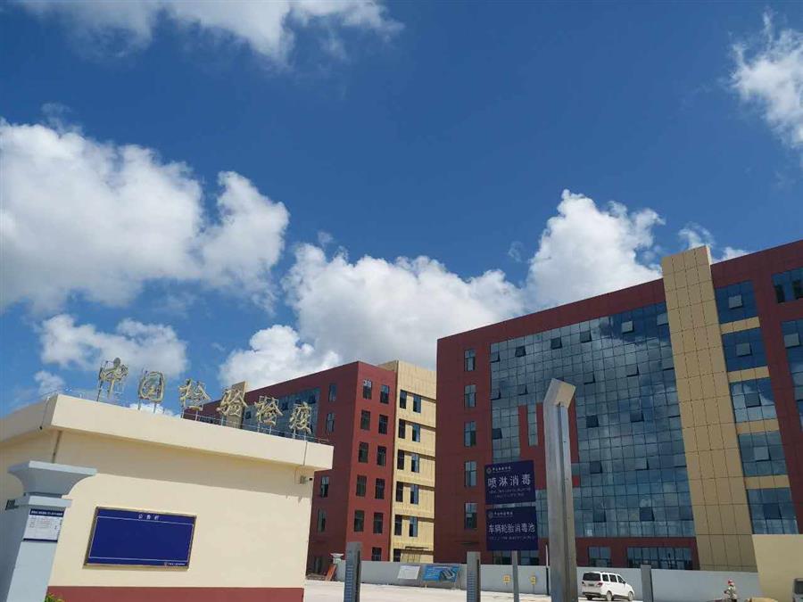 AG Club | The Originator of Live Casino