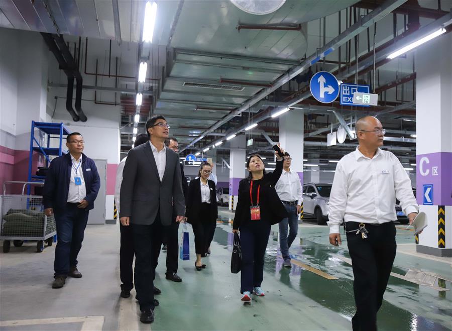 AG Club | The Originator of Live Casino