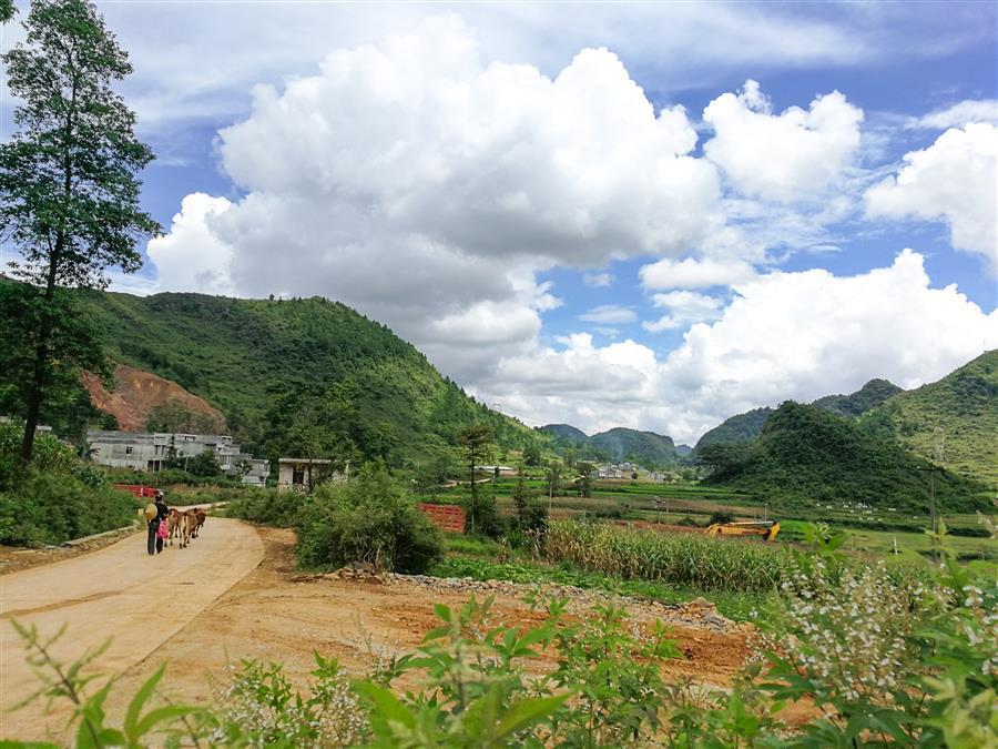 AG Club | The Originator of Live Casino