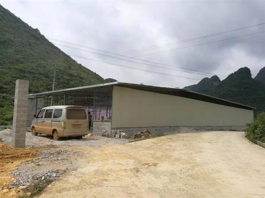 AG Club | The Originator of Live Casino