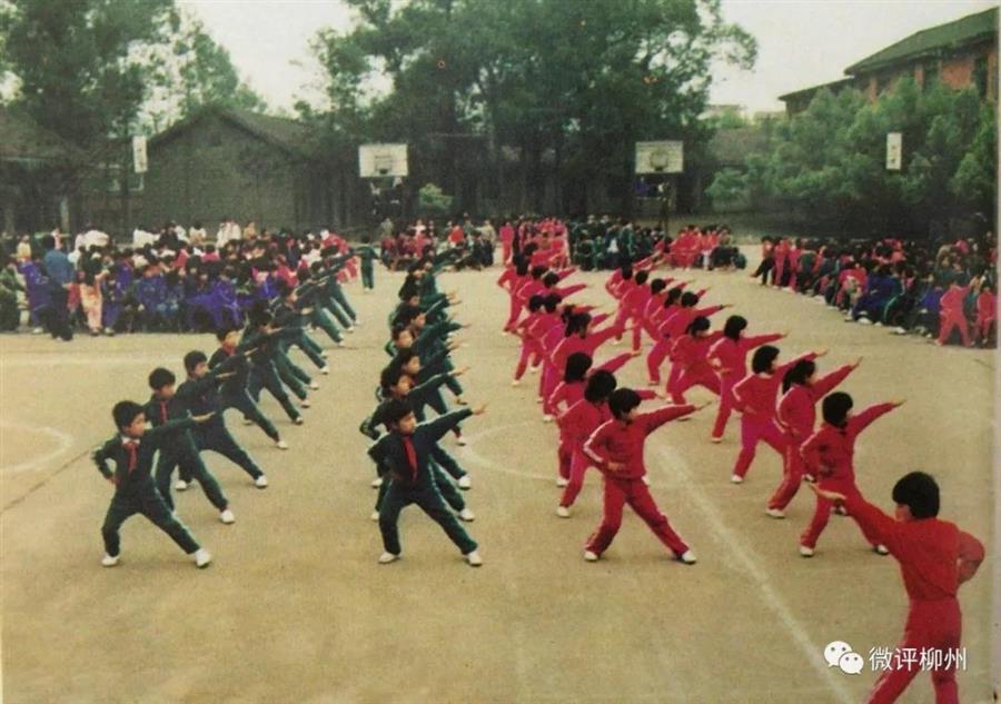 AG Club | The Originator of Live Casino