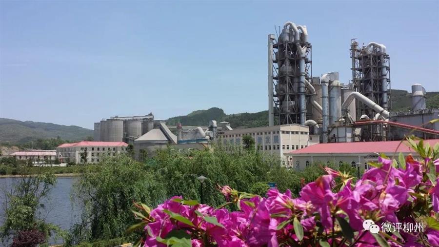 AG Club | The Originator of Live Casino