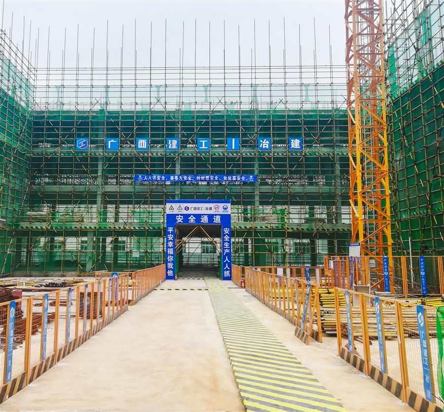 AG Club | The Originator of Live Casino