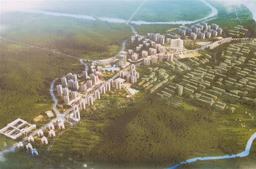 AG Club | The Originator of Live Casino