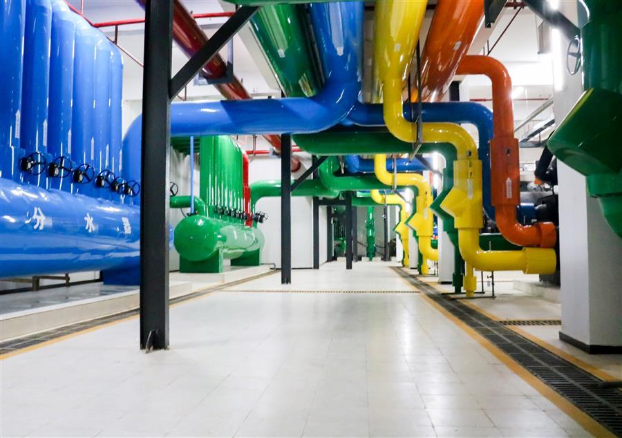 AG Club | The Originator of Live Casino