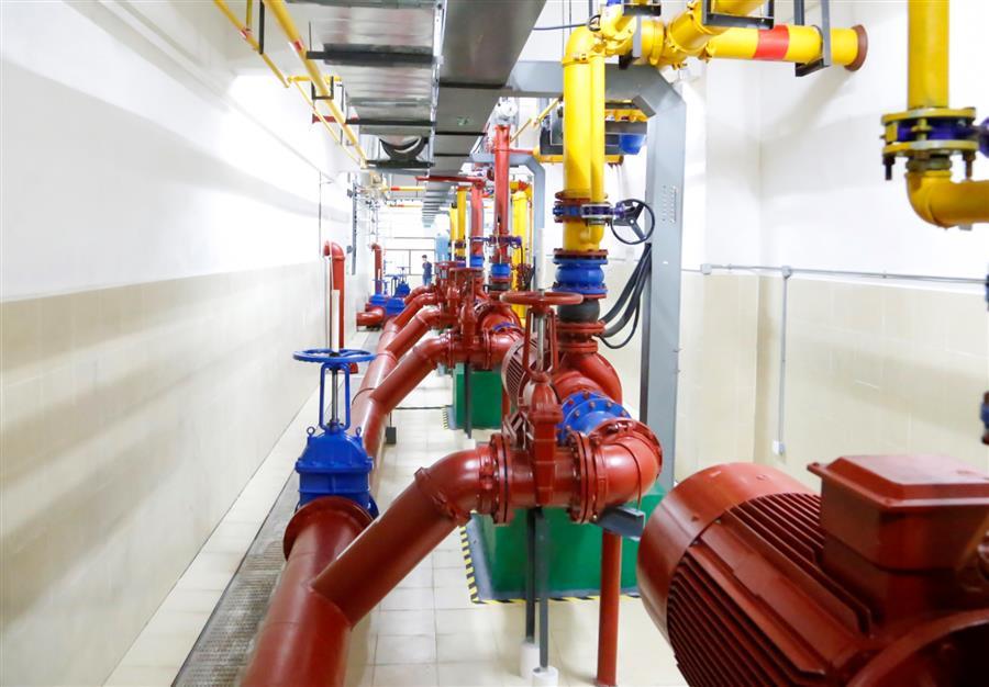 AG Club | The Originator of Live Casino