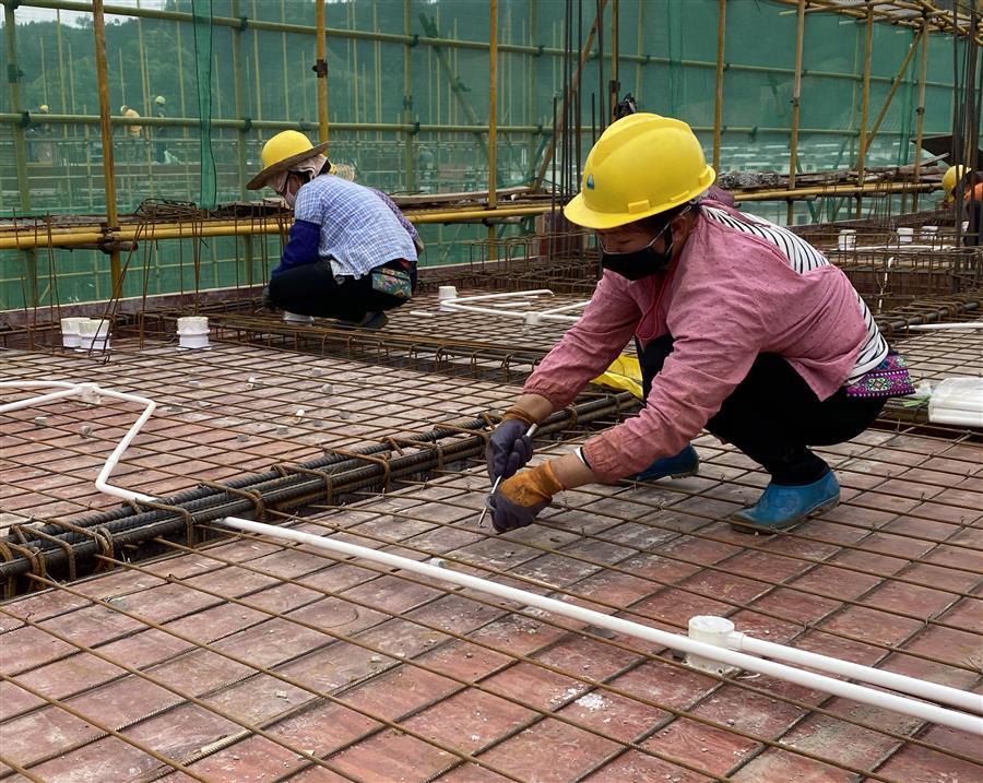 AG Club | The Originator of Live Casino