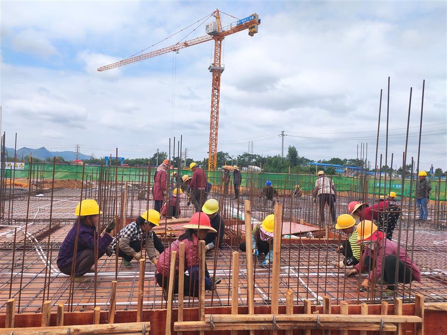 AG Club | The Originator of Live Casino