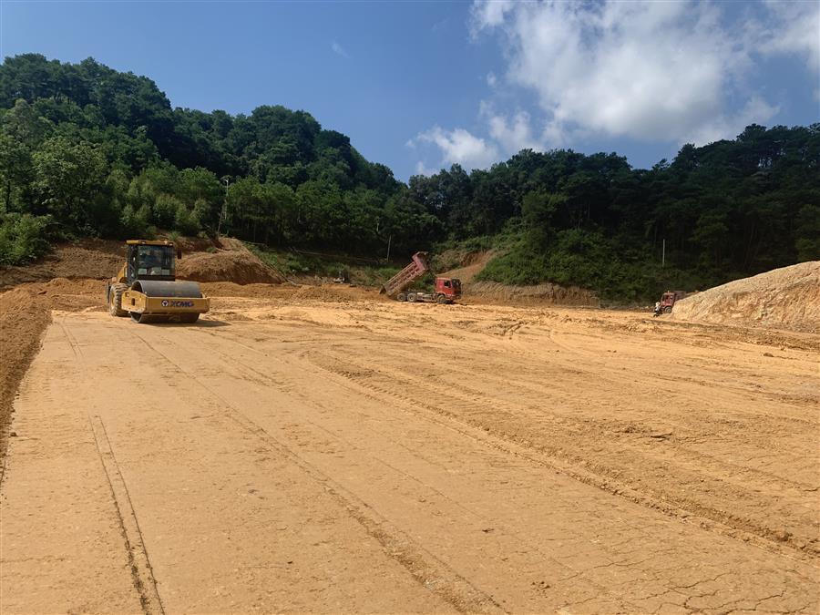 AG Club | The Originator of Live Casino