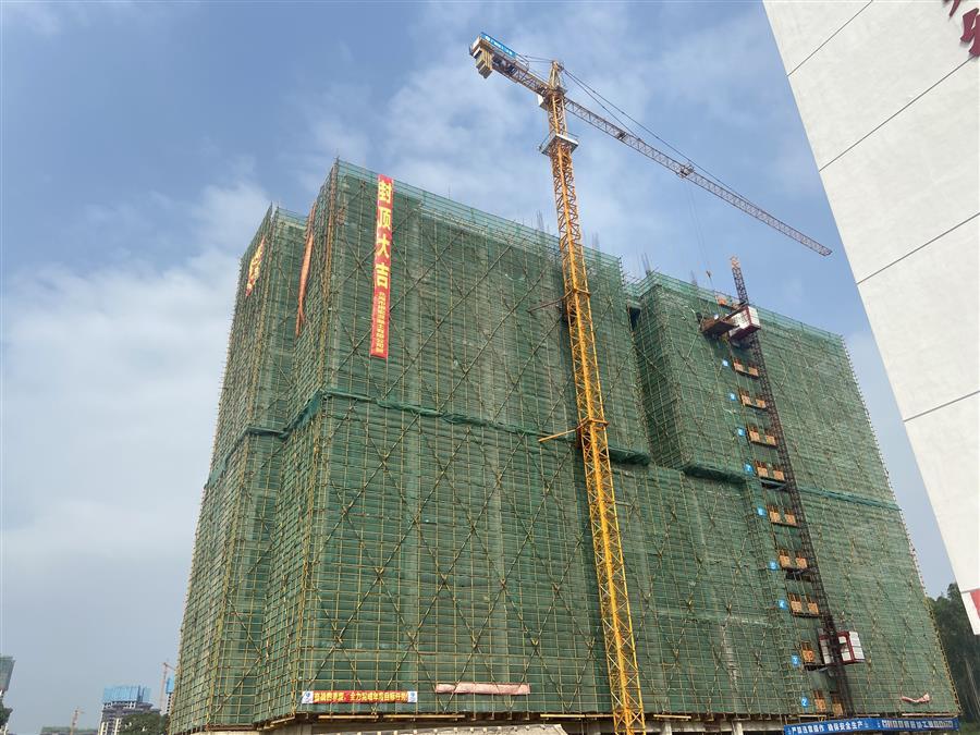 AG Club | The Originator of Live Casino