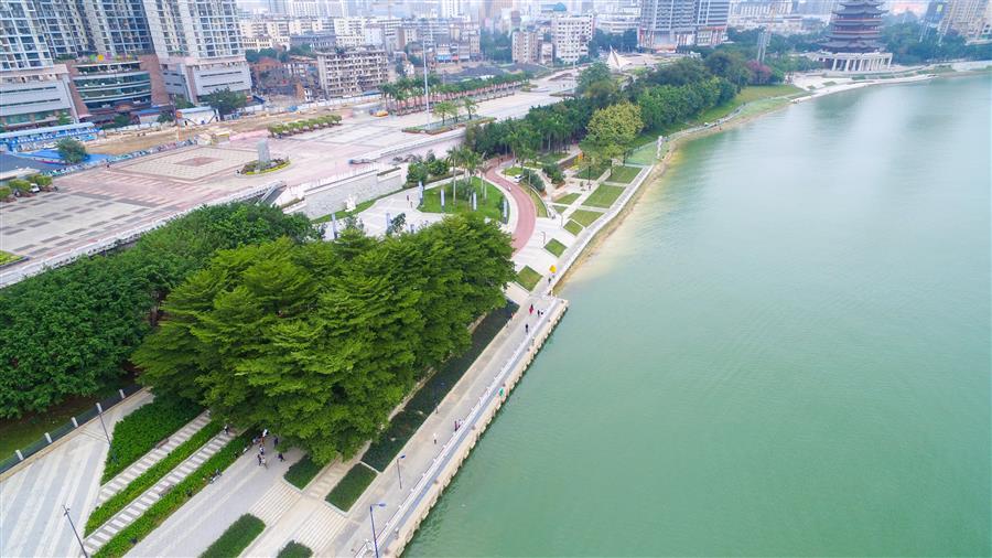 AG Club | The Originator of Live Casino