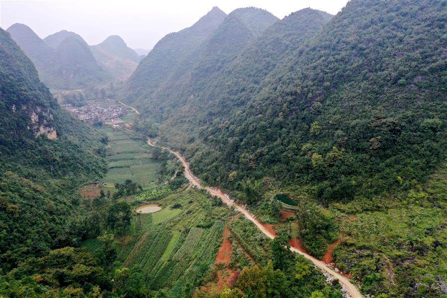 AG Club | The Originator of Live Casino