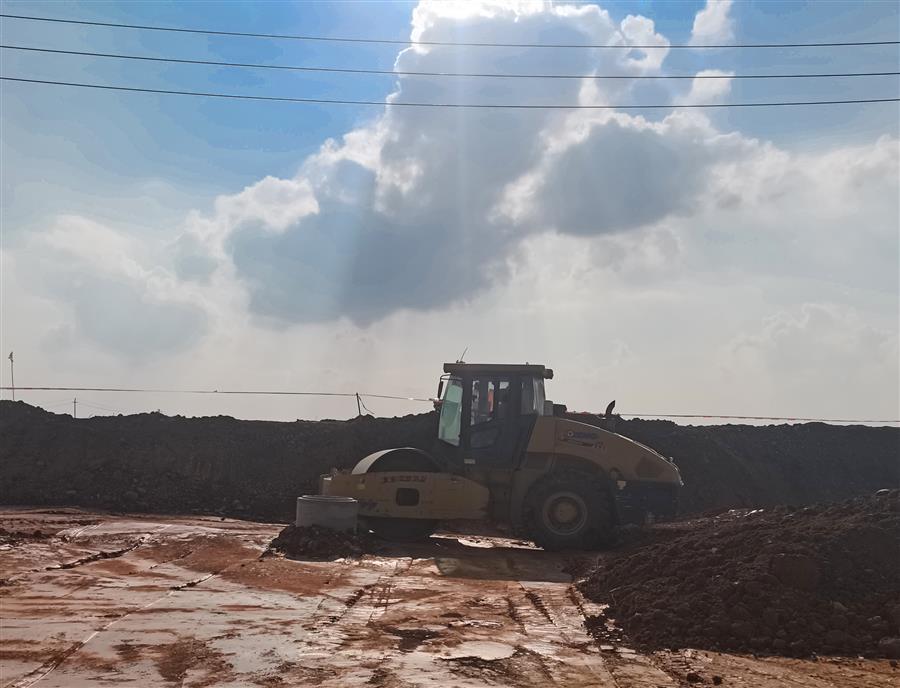 AG Club | The Originator of Live Casino