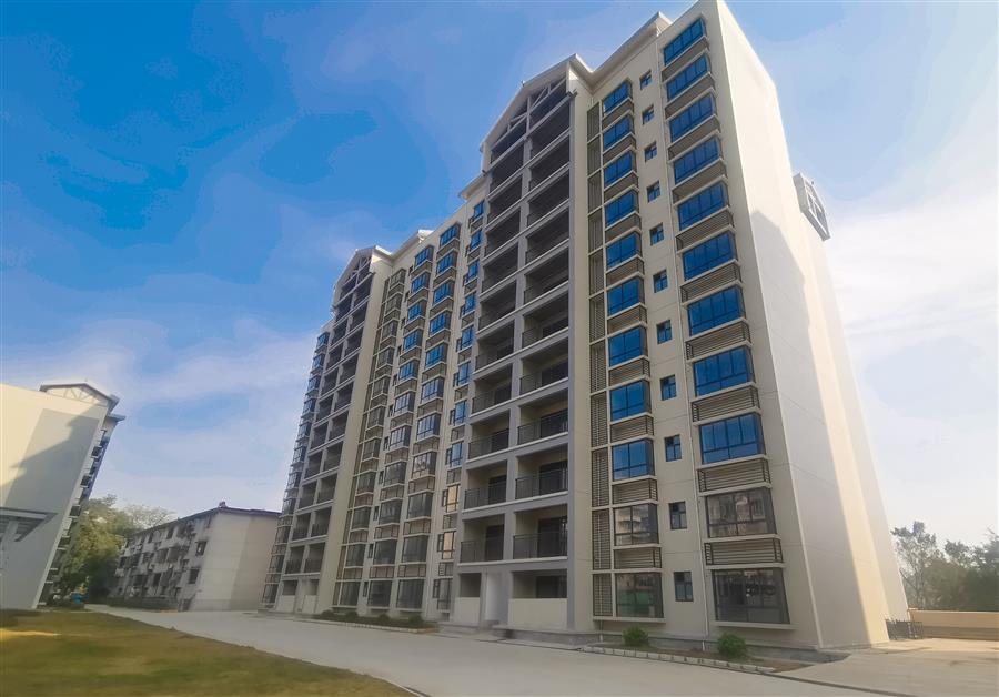 AG Club | The Originator of Live Casino