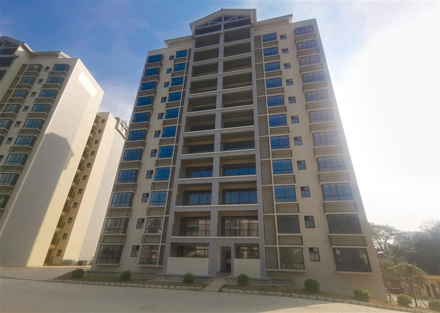 AG Club | The Originator of Live Casino