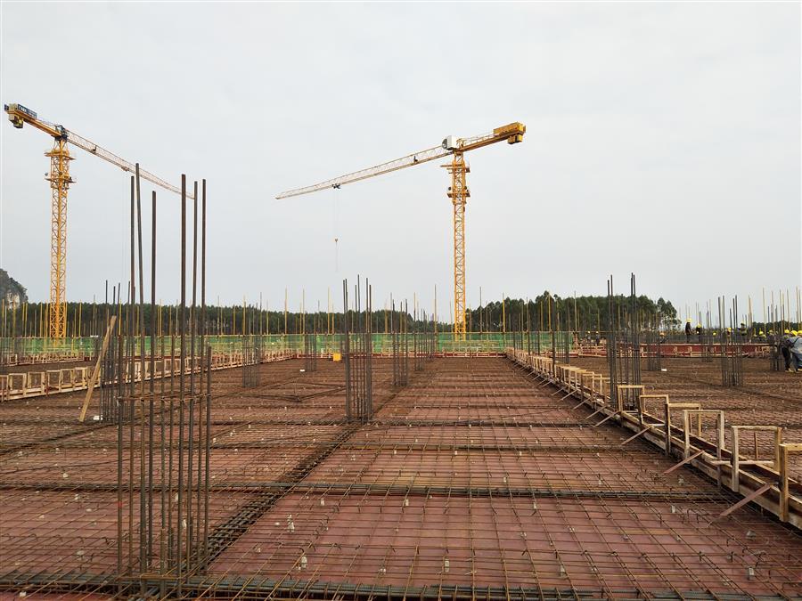 AG Club | The Originator of Live Casino