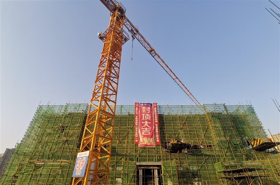 AG Club | The Originator of Live Casino