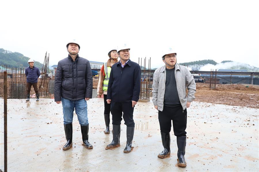 AG Club | The Originator of Live Casino