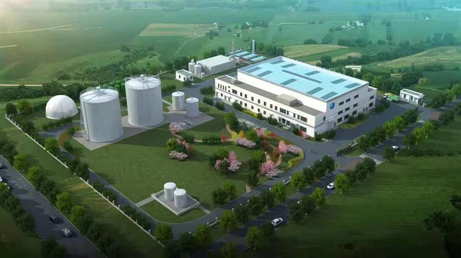 AG Club | The Originator of Live Casino