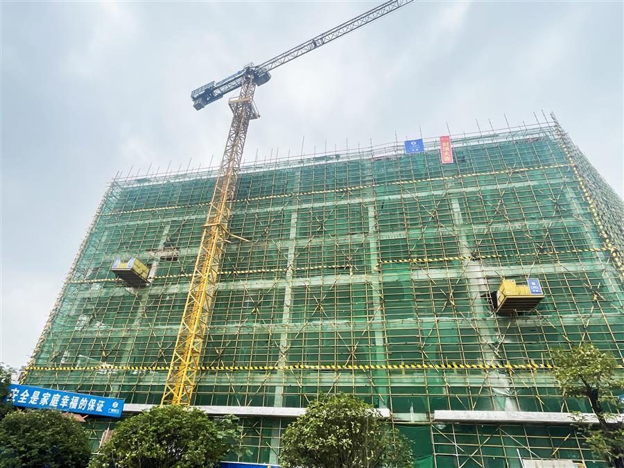 AG Club | The Originator of Live Casino