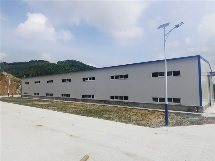 AG Club | The Originator of Live Casino