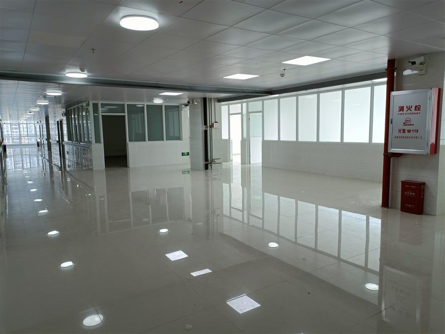 AG Club | The Originator of Live Casino