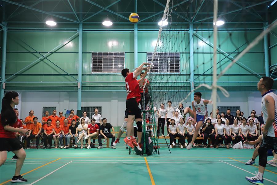 AG Club | The Originator of Live Casino