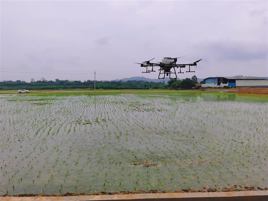 AG Club | The Originator of Live Casino