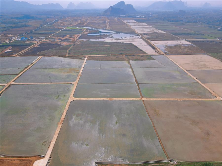 AG Club | The Originator of Live Casino