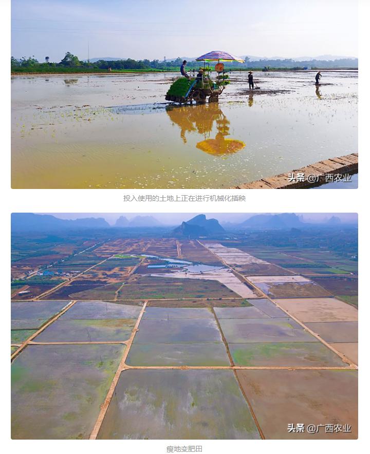 AG Club | The Originator of Live Casino