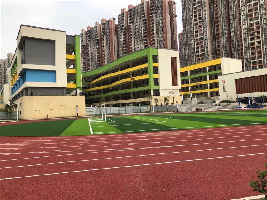 AG Club | The Originator of Live Casino