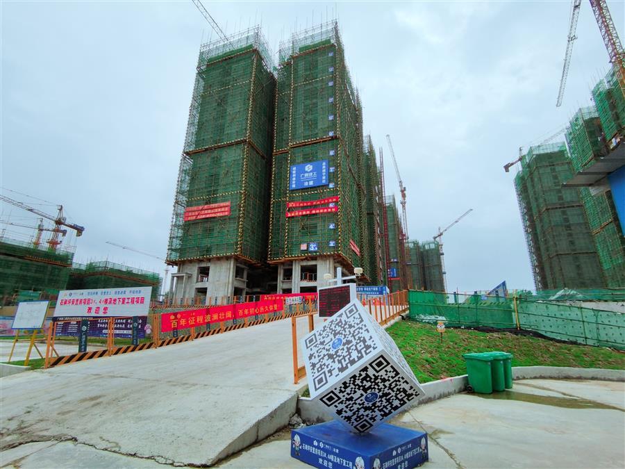 AG Club | The Originator of Live Casino