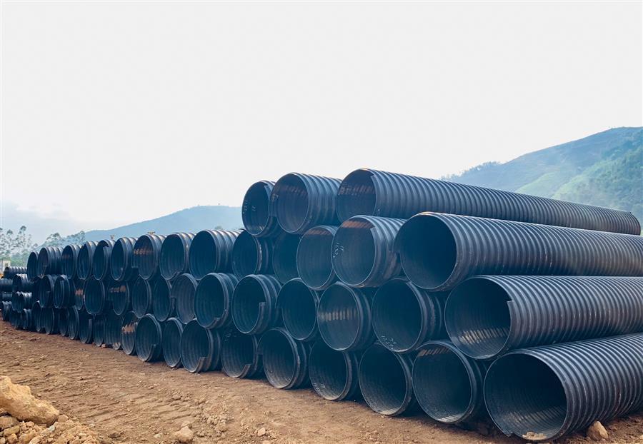 AG Club | The Originator of Live Casino