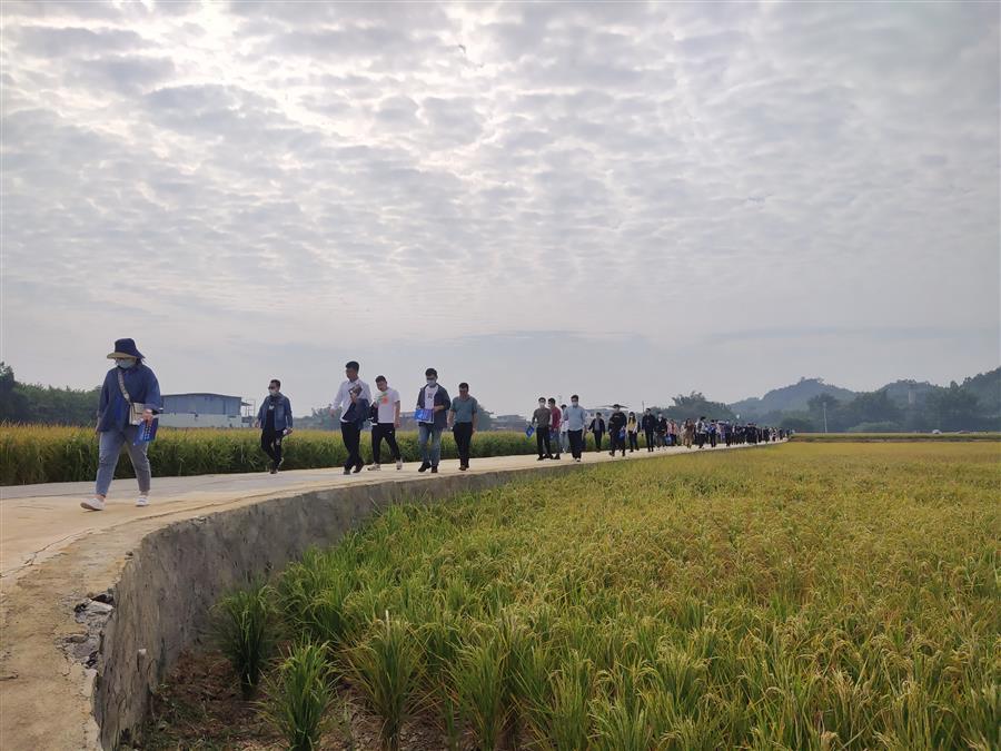 AG Club | The Originator of Live Casino