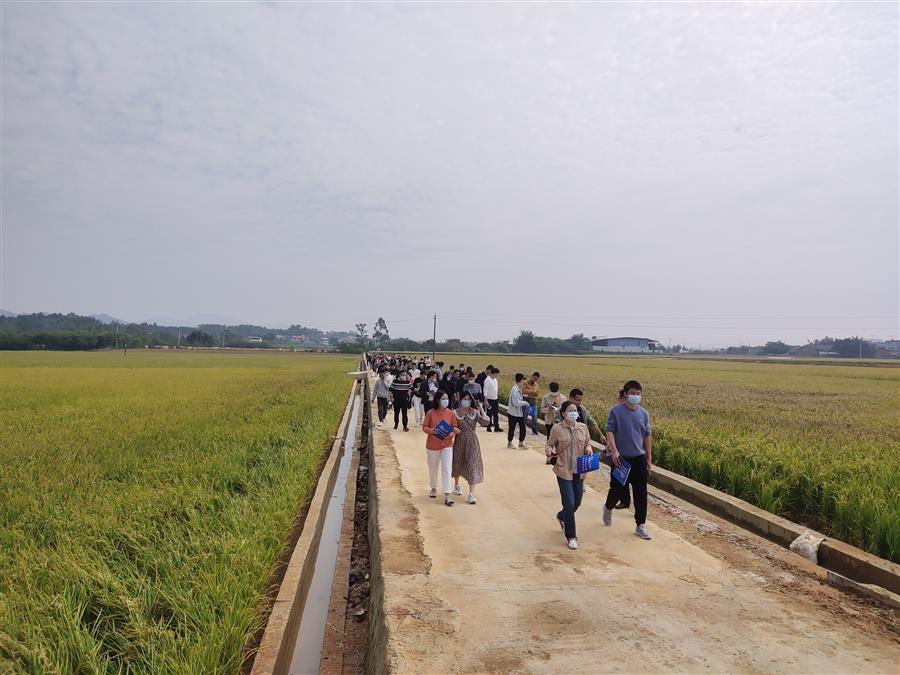 AG Club | The Originator of Live Casino