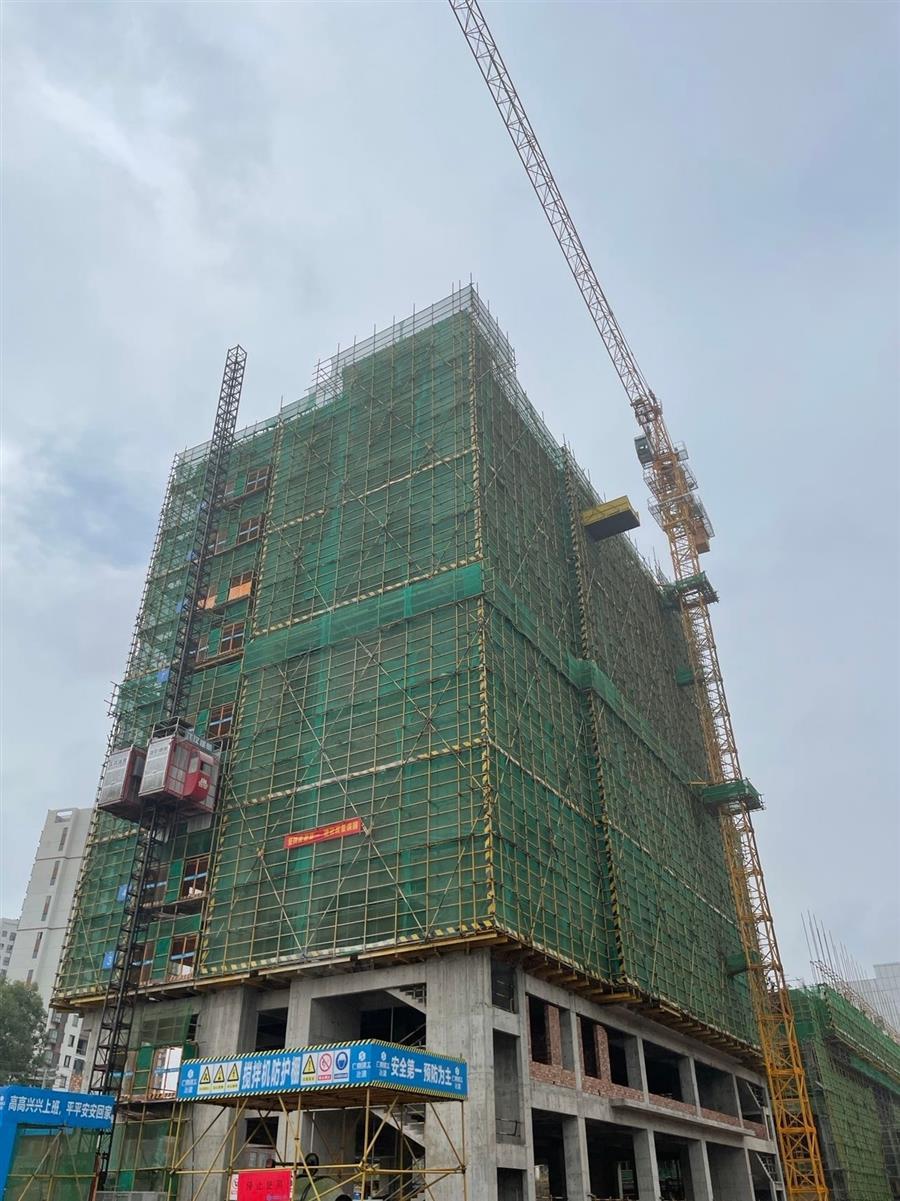 AG Club | The Originator of Live Casino