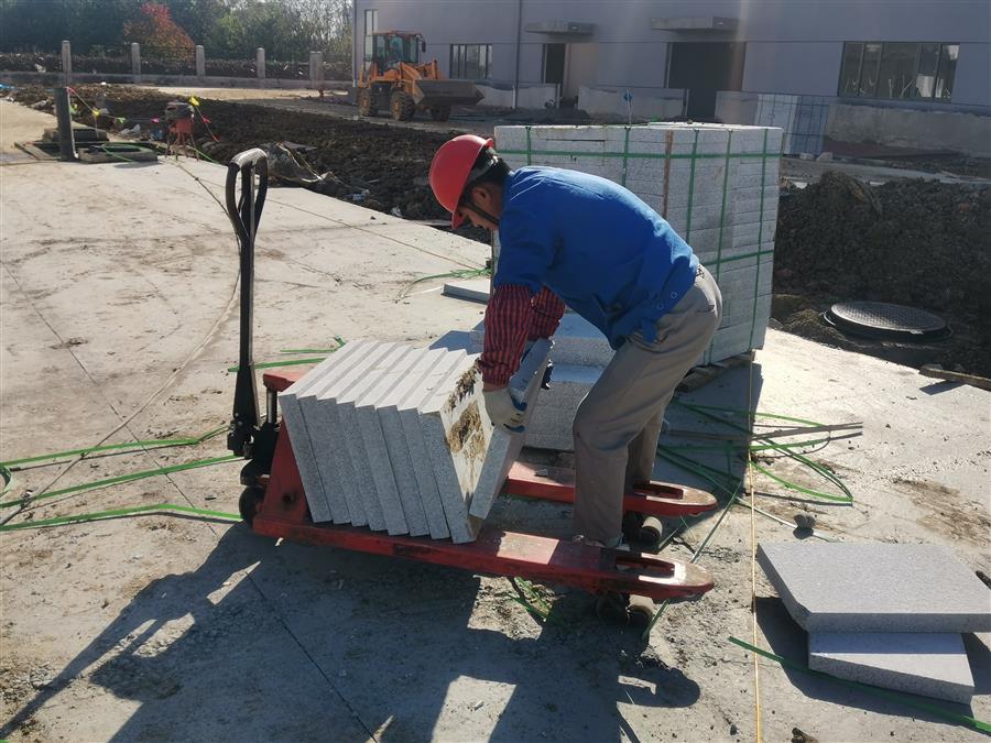 AG Club | The Originator of Live Casino