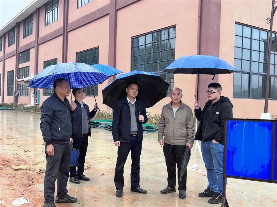 AG Club | The Originator of Live Casino