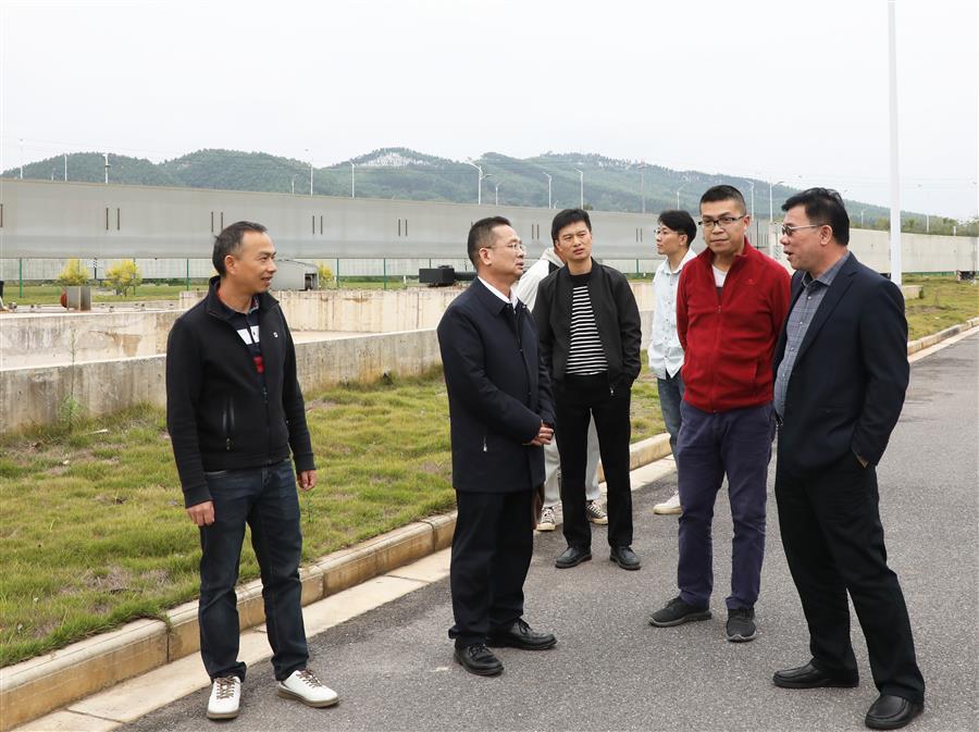 AG Club | The Originator of Live Casino